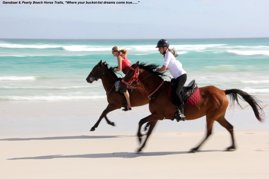 Horse riding on beach at Pearly Beach